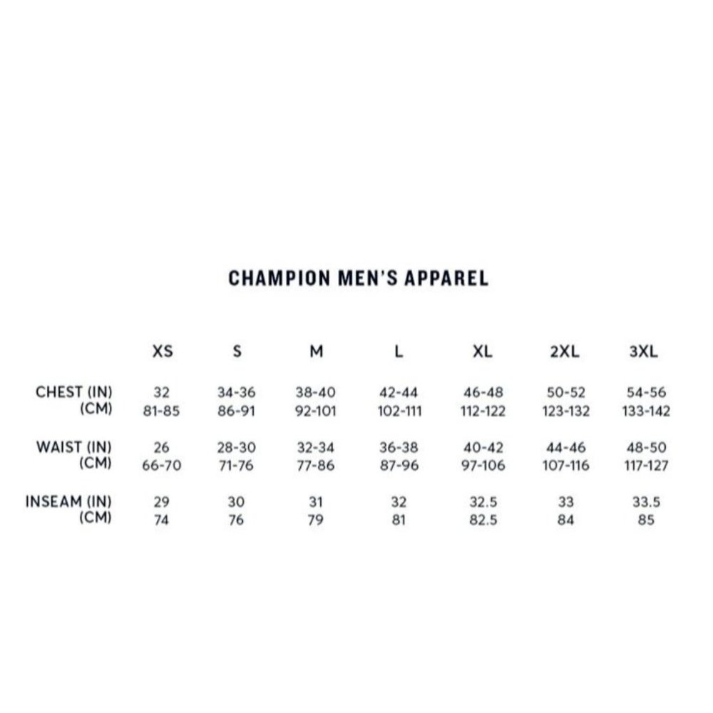 Champion Men's Powerblend Pullover Hoodie Hooded Sweatshirt Blue Script  -M - Picture 5 of 5